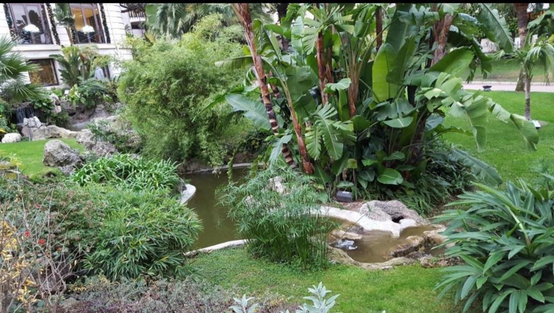 Direct Monaco Studio Devant Piscine Beausoleil Cameră foto