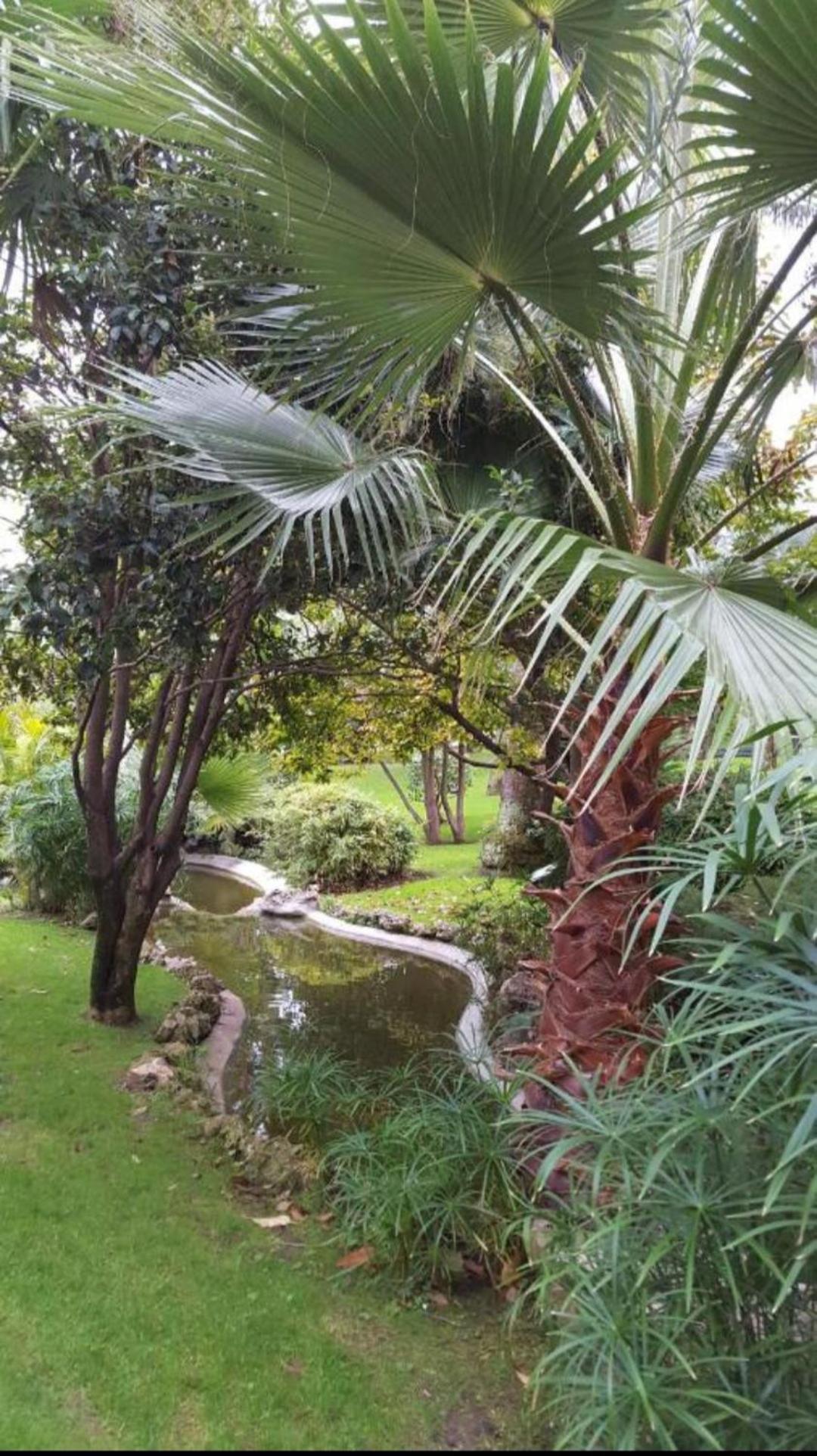 Direct Monaco Studio Devant Piscine Beausoleil Cameră foto